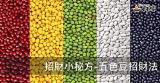 招財小秘方-五色豆招財法