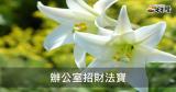 辦公室的招財法寶