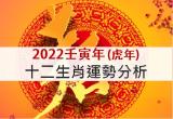 2022年12生肖運勢分析