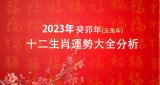 快來了解~ 2023年(兔年)12生肖運勢分析
