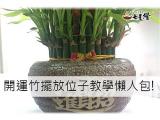 開運竹擺放位子教學懶人包