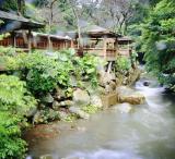 走訪姜太公道場 享受森呼吸 風景優美極佳寶地
